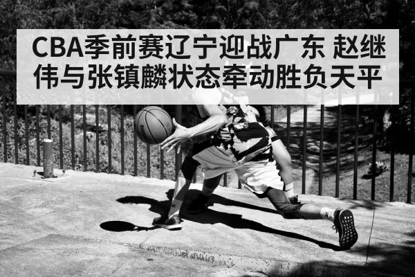 basketball point guard dribbling